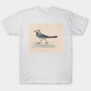 White Wagtail by Ferdinand von Wright T-Shirt